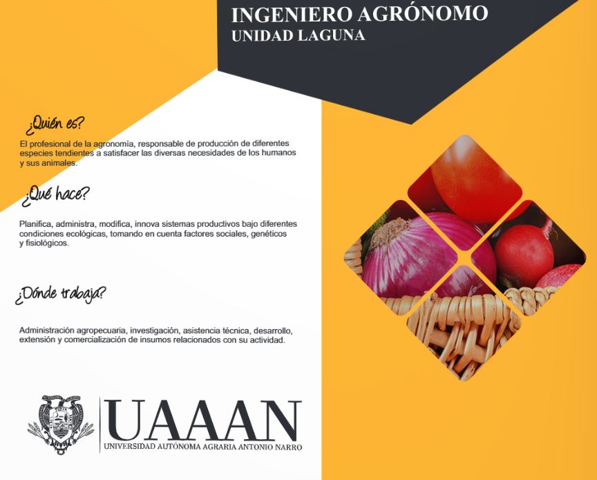 ING AGRONOMO